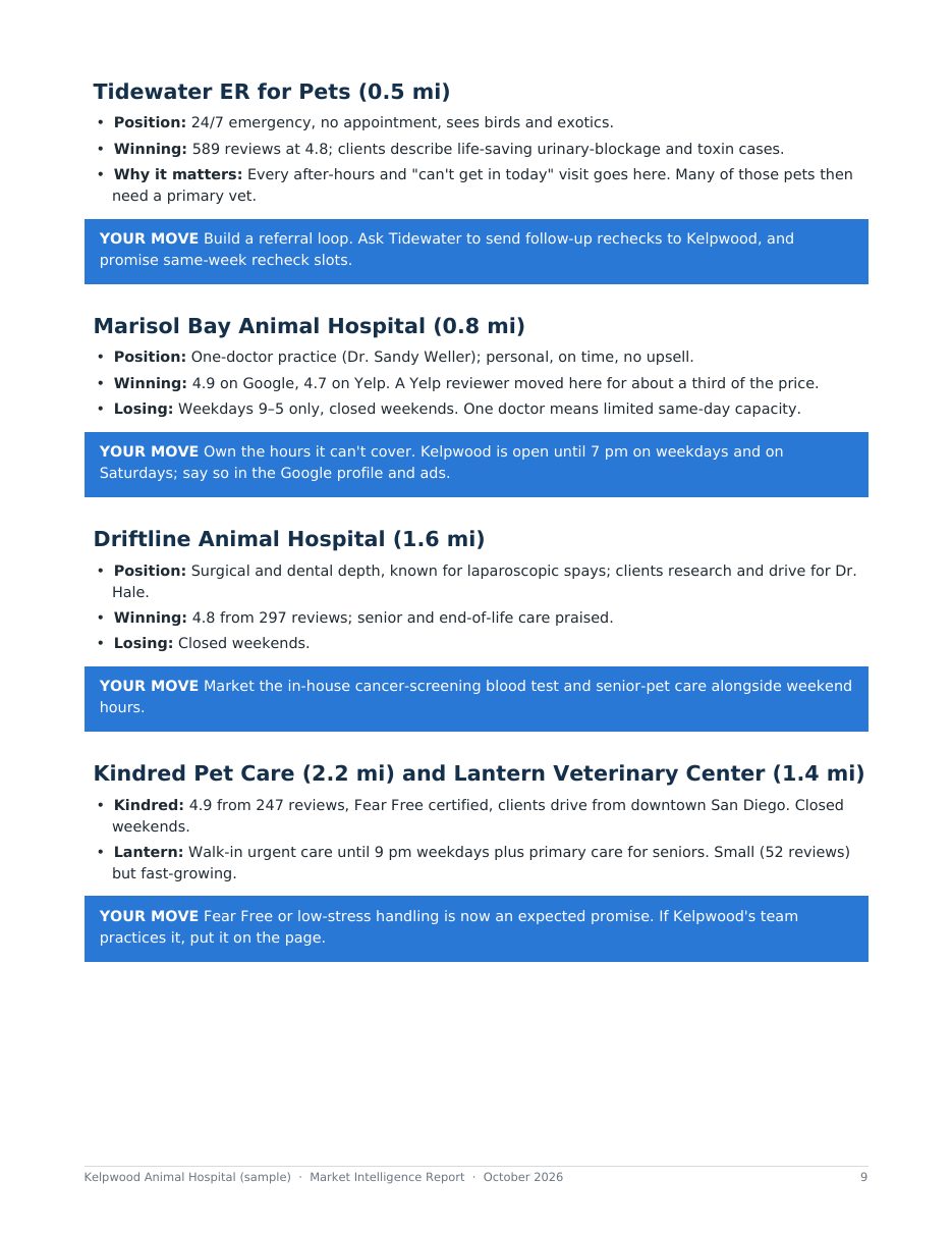 Sample report page 9: Competitor profiles