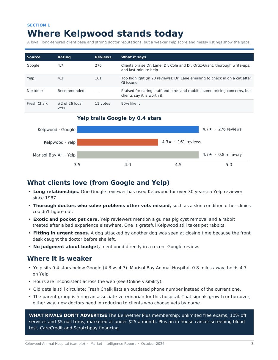 Sample report page 3: Where the business stands today