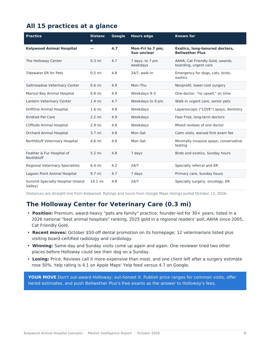 Sample report page 8: Every competitor at a glance