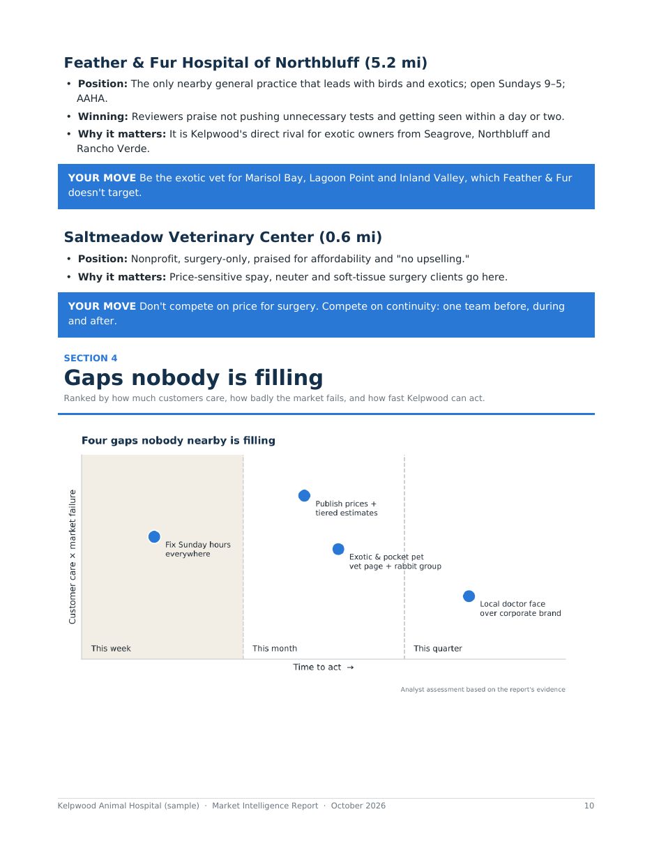 Sample report page 10: Competitor profiles and market gaps