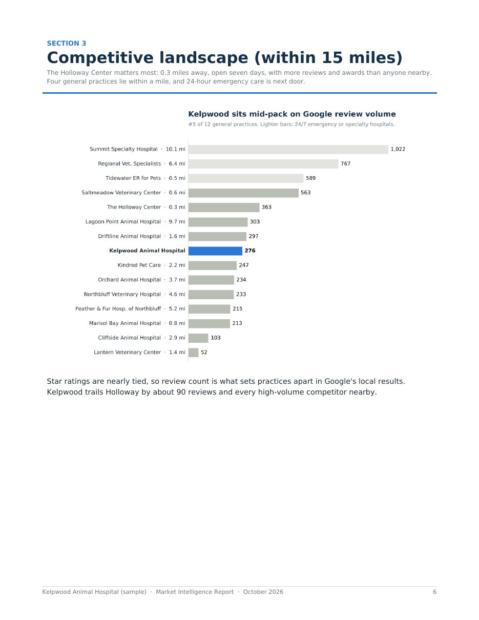 Sample report page 6: Competitive landscape