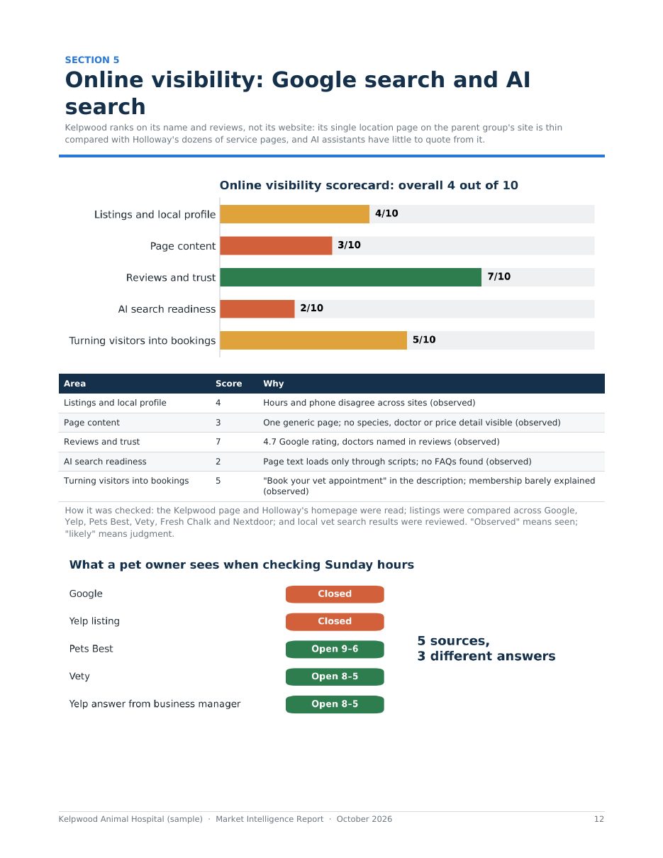 Sample report page 12: Online and AI search visibility